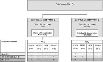 Safety and Success of Lumbar Puncture in Young Infants: A Prospective Observational Study